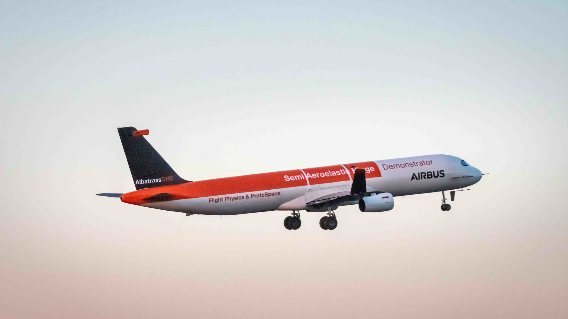 Albatross One 01 5d025edd63091
