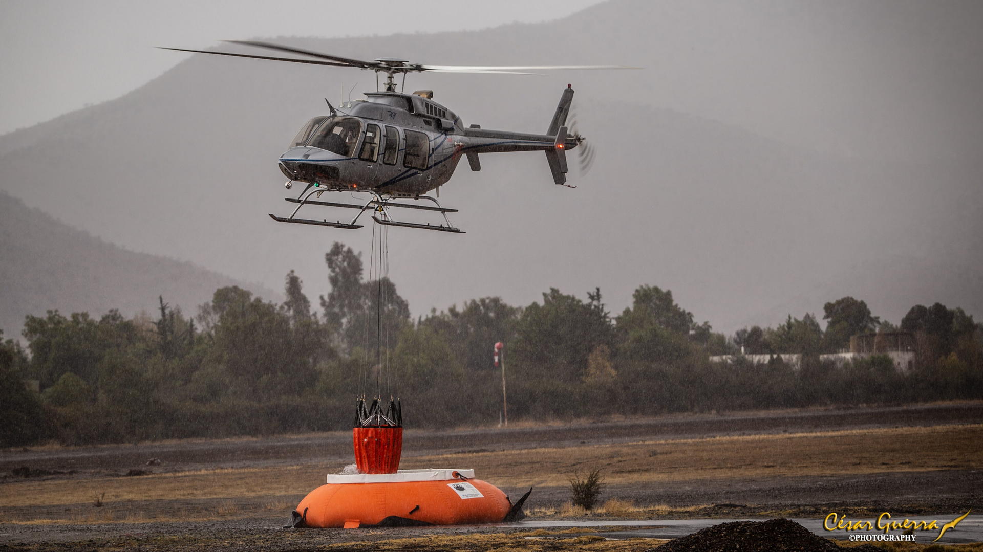 Sei Bambi Max With Pumpkin Tank Cesar Guerra Photo June2019