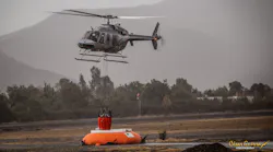 Sei Bambi Max With Pumpkin Tank Cesar Guerra Photo June2019