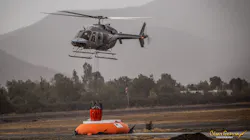 Sei Bambi Max With Pumpkin Tank Cesar Guerra Photo June2019 5d161b056a097