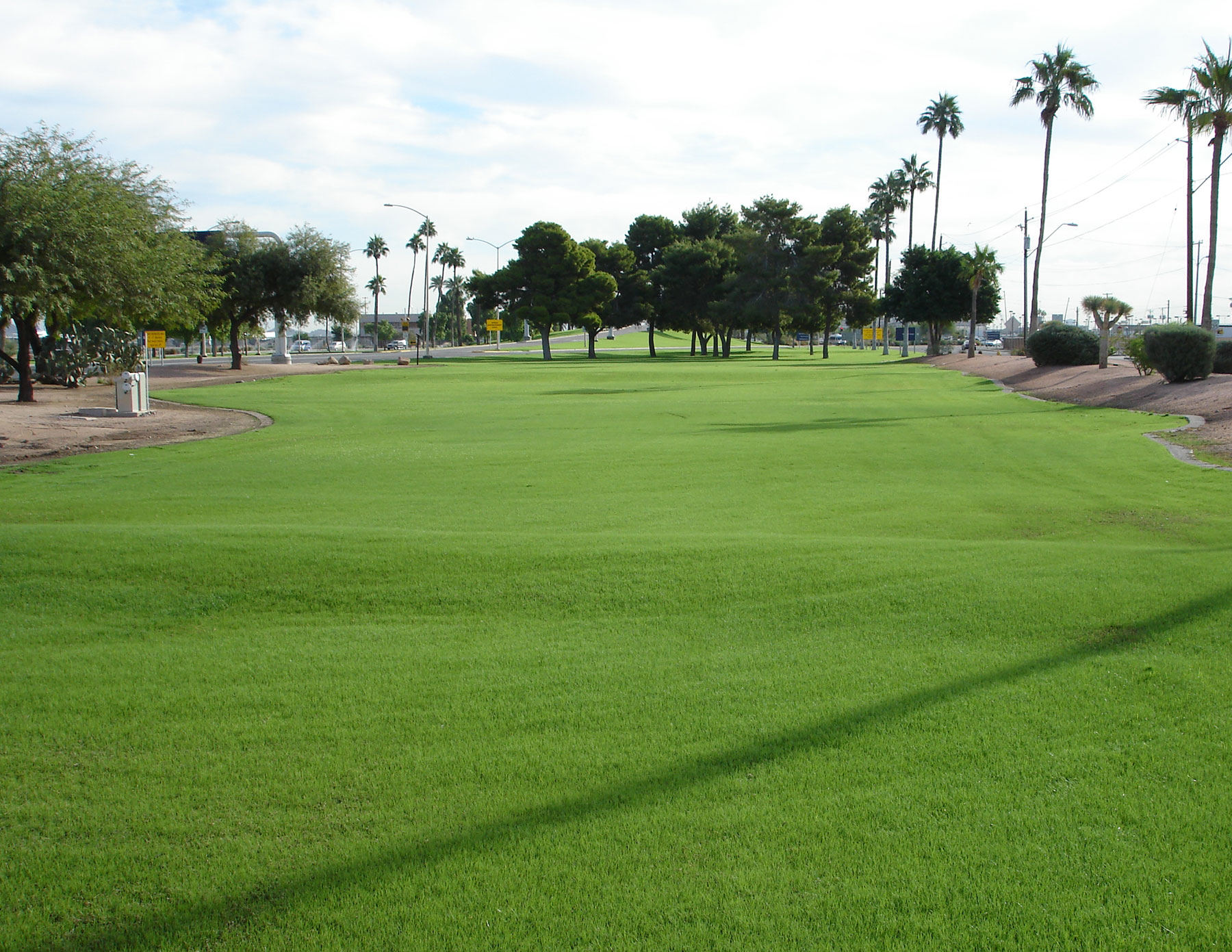 Turf Replacement Before