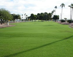 Turf Replacement Before 5d150df21042e Turf Replacement Before 5d150df21042e