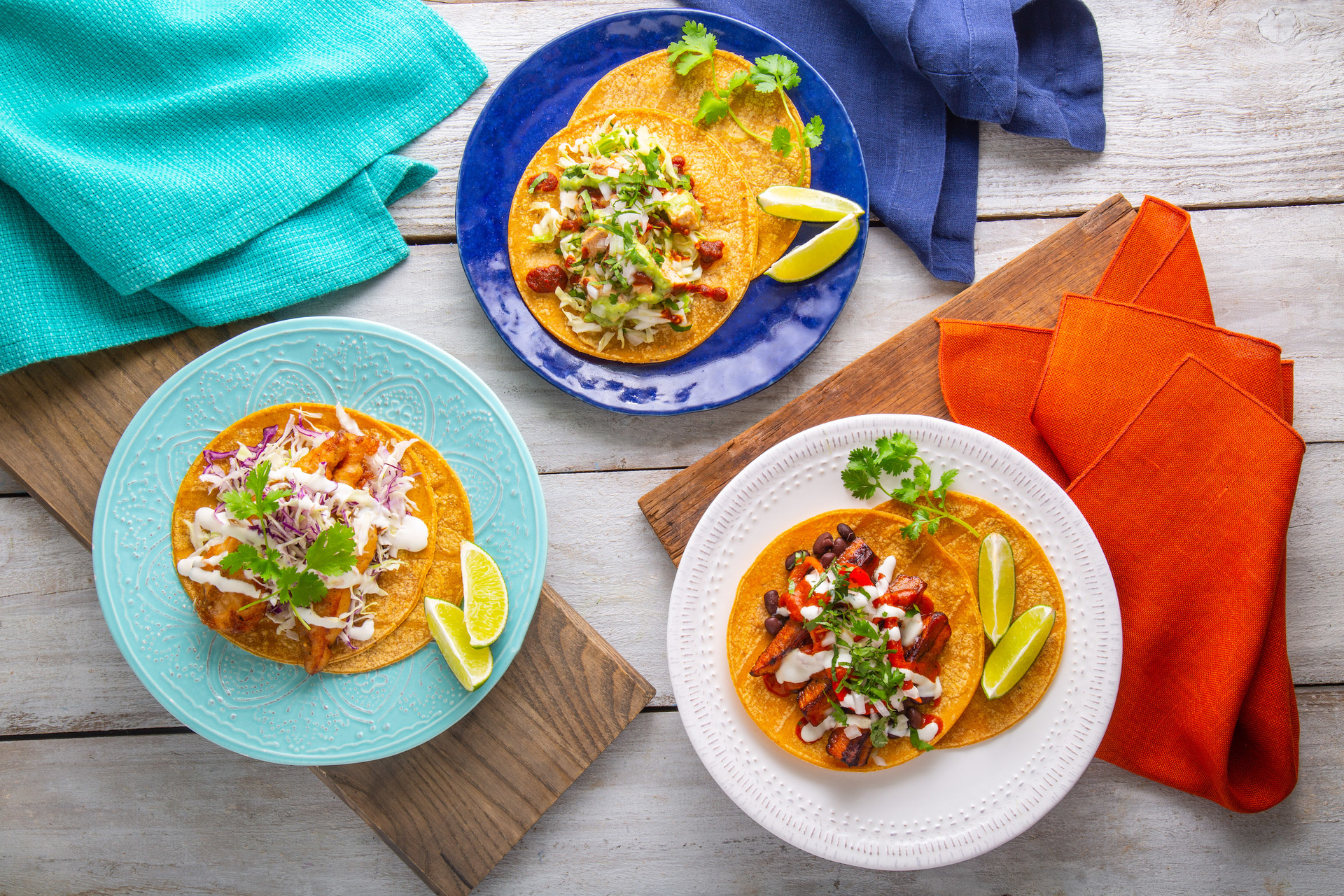 06 25 2019 Little Chihuahua1395 Edit Copy