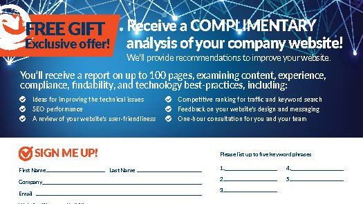 Endeavor Website Audit Card Fillable 5d41f4ab3f185