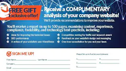 Endeavor Website Audit Card Fillable 5d41f4ab3f185