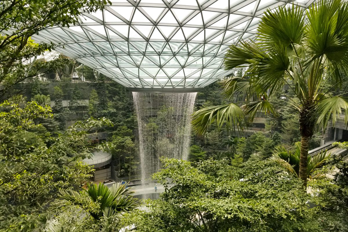 Design Considerations For Interior Plantscapes In Airports Aviation Pros