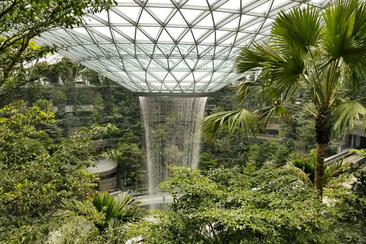 Design Considerations For Interior Plantscapes In Airports Aviation Pros