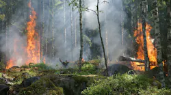 Forest Fire Fire Smoke Conservation 51951