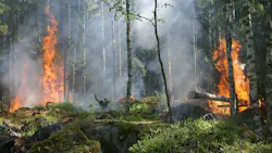 Forest Fire Fire Smoke Conservation 51951 5d67e566cfc8f