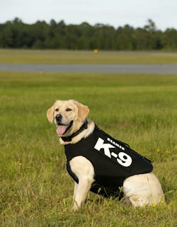 Beamer In Field In New Vest 5d8a606c43e51 Beamer In Field In New Vest 5d8a606c43e51
