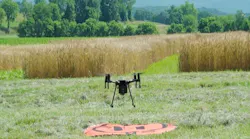 Faa