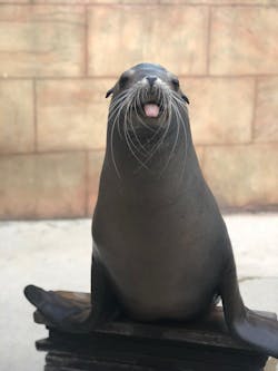 Unknown 1 5d766e2bec534 Unknown 1 5d766e2bec534