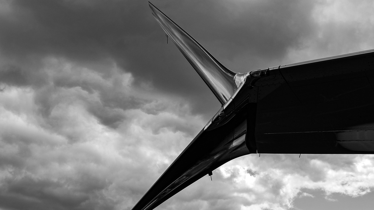 Boeing Max 737 Winglet