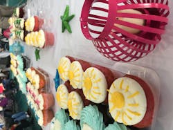 Img 5129 5ddbf8bae3d7b Img 5129 5ddbf8bae3d7b