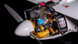 Penguin C Close Up 5e137cb9c7ca4 Penguin C Close Up 5e137cb9c7ca4