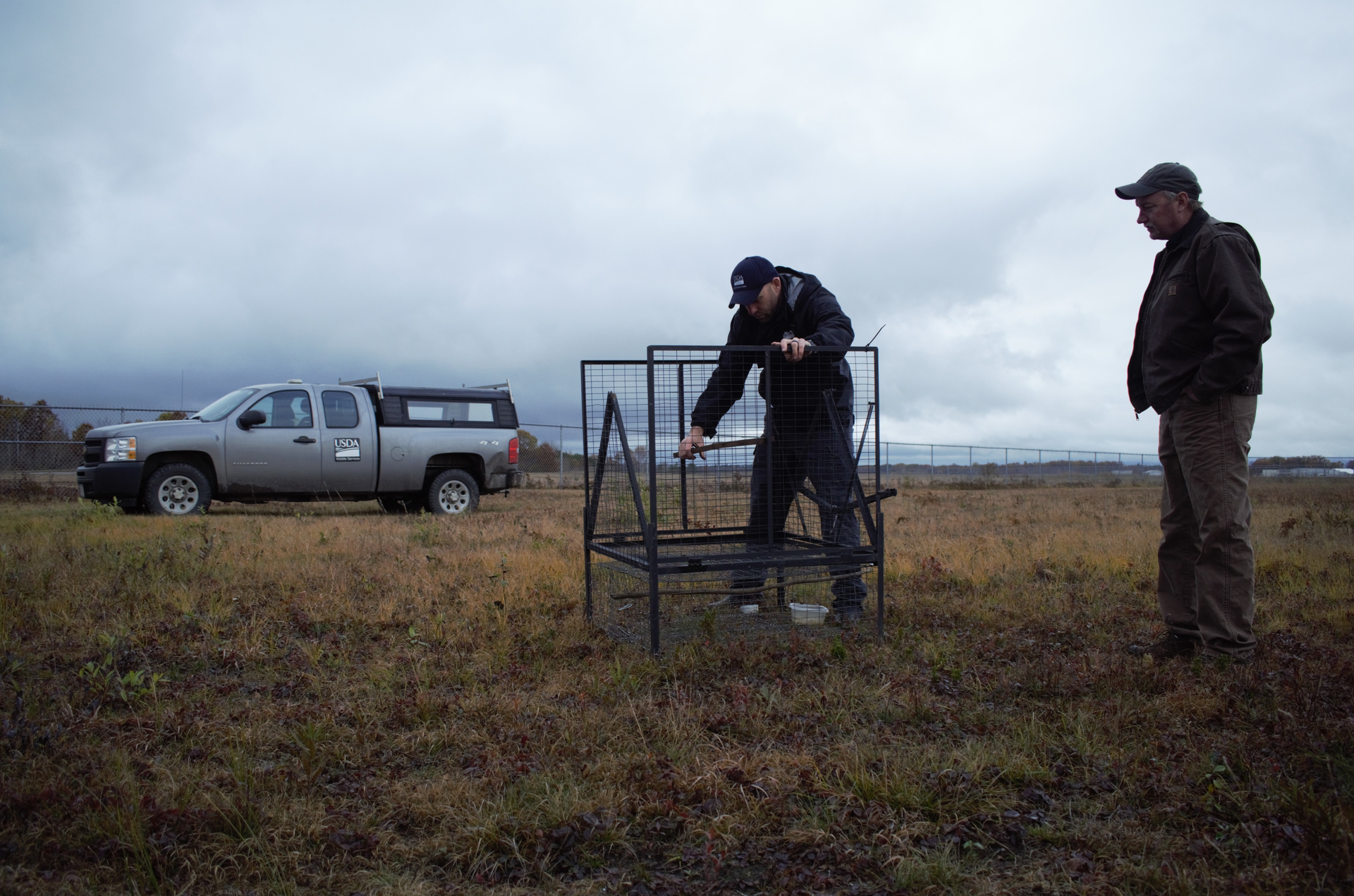 Tony Aderman, Agriculture Department district supervisor, and Dane Williams, wildlife specialist, check Swedish goshawk traps at Alpena Combat Readiness Training Center, Mich., as part of the base's Bird/wildlife Aircraft Strike Hazard (BASH) program, Oct. 29, 2019.