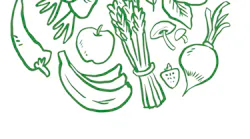 Spl Food Bank Final Cmyk