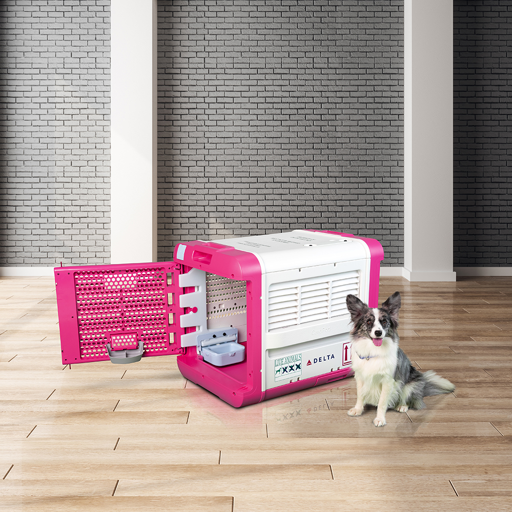 Carepod Brick Colorcorrect 4b Small