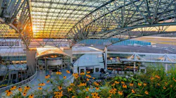 Pdx Canopy Dusk