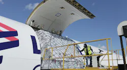 Valentine's Day Latam Cargo 2