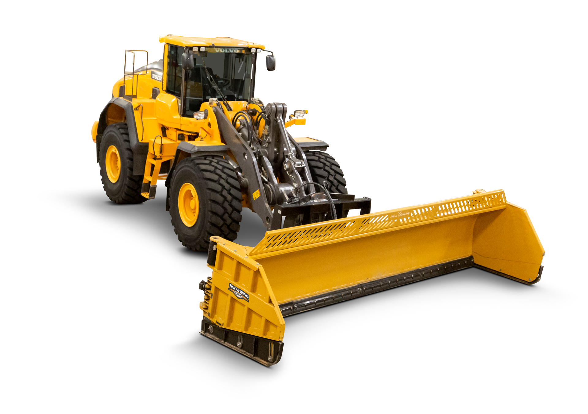 6205 Snow Wing (19051 Shel3109)