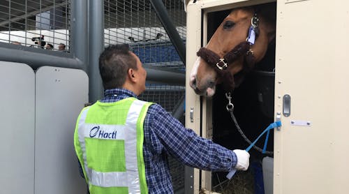 Hactl Horse Handling Service