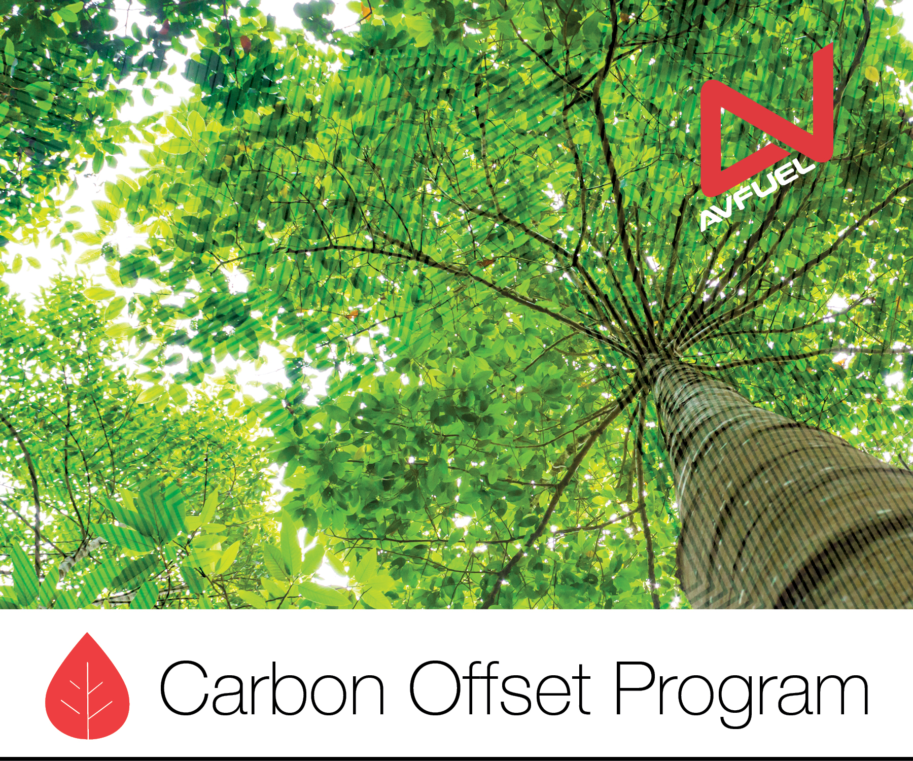 Photo 2 To Accompany Sdc20 Avfuel Helps Operators Cancel Emissions With Carbon Offsets