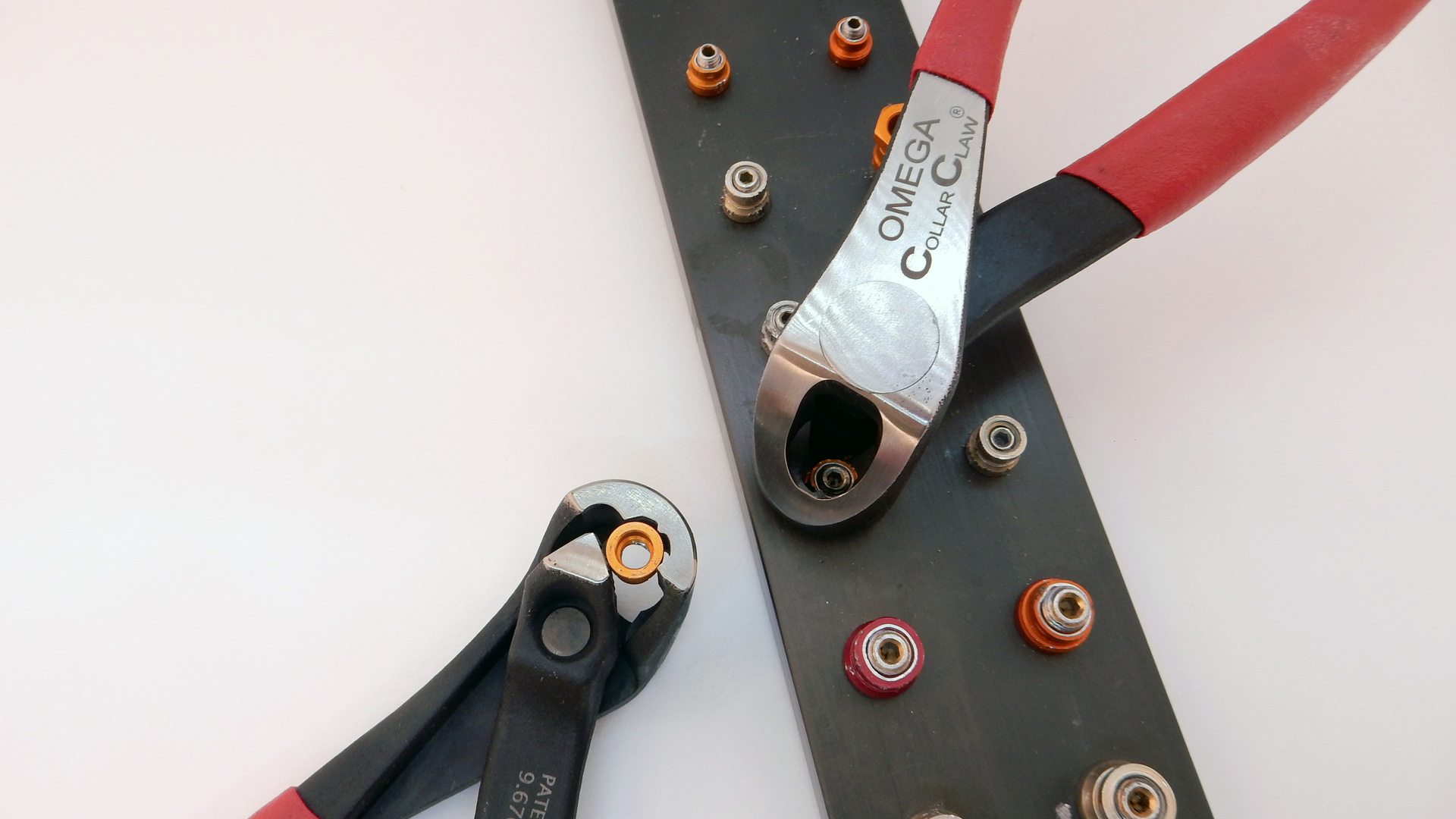 Collar Claw Amt Spotlight