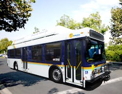 Santa Cruz 5f22d19c5bdd1 Santa Cruz 5f22d19c5bdd1