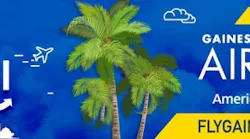 Viva Miami Edited For One Flight Per Day