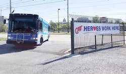 Cat 5f7642e703761 Cat 5f7642e703761