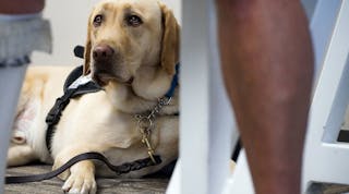 Under a new federal rule announced Wednesday, emotional support animals will no longer receive special access to airplane cabins.