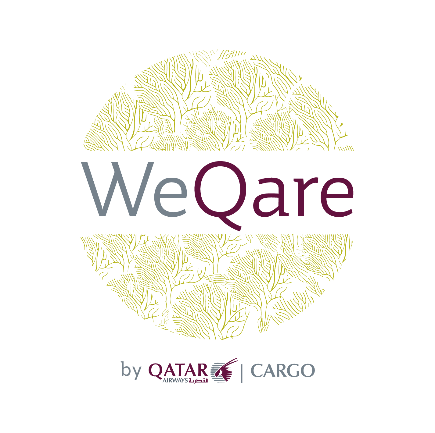 We Qare Logo