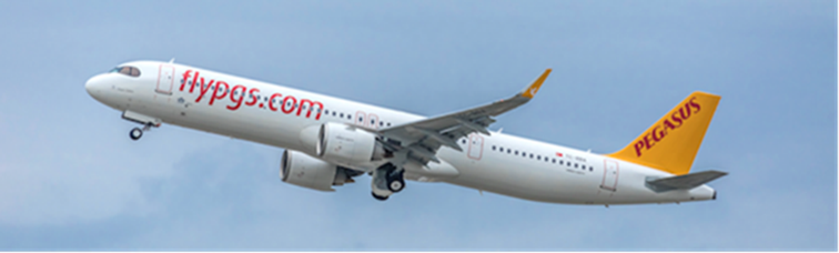 Pegasus 601409e1c0cf1