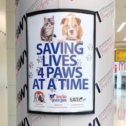 Bwi Cpp 5 6018713949511 Bwi Cpp 5 6018713949511