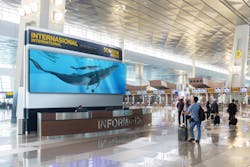 Lifestyle Dvled Airport Dual2 K 163 Magnit 6023f3a6556a5 Lifestyle Dvled Airport Dual2 K 163 Magnit 6023f3a6556a5