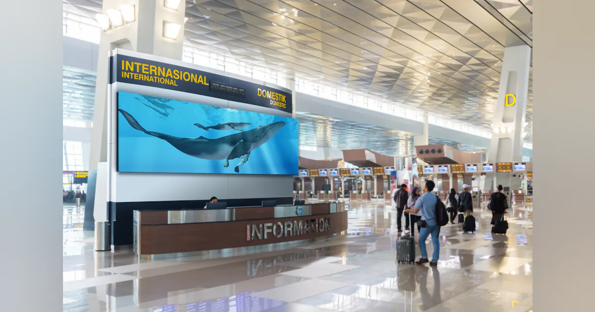 Direct View Screen LG's New Pre-Configured Direct-view LED Screens Demystify Purchase ...