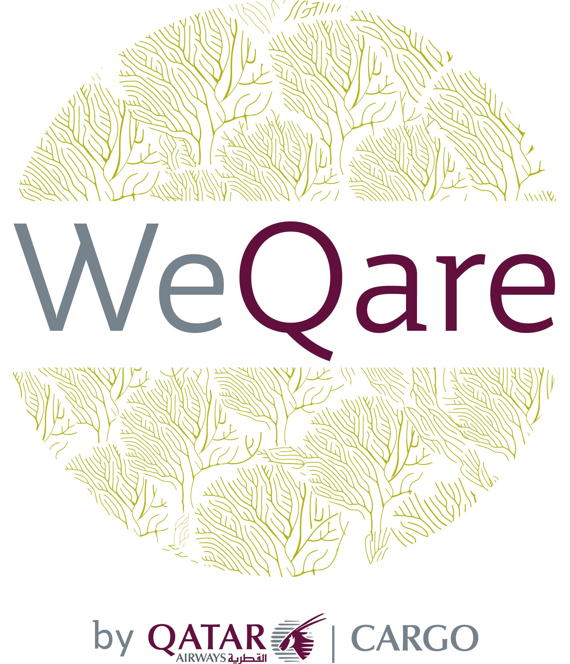 We Qare Logo