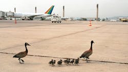 Embry Riddle 6065cbbe116f2 Embry Riddle 6065cbbe116f2