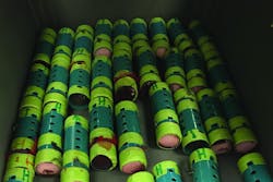 Kevin Andre McKenzie smuggled 35 live birds in hair curlers into JFK Airport. Kevin Andre McKenzie smuggled 35 live birds in hair curlers into JFK Airport.