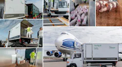 Intradco Global Debuts Their Innovative Pig Lift