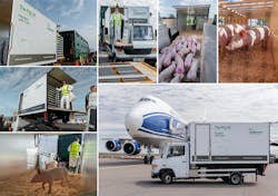 Intradco Global Debuts Their Innovative Pig Lift 6095a40bb33d3 Intradco Global Debuts Their Innovative Pig Lift 6095a40bb33d3