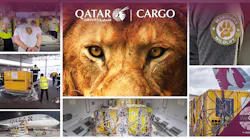 Qr Cargo Lions