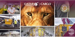 Qr Cargo Lions 6091a72010846 Qr Cargo Lions 6091a72010846