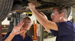 Stertil Koni Snip Stertil Koni Snip