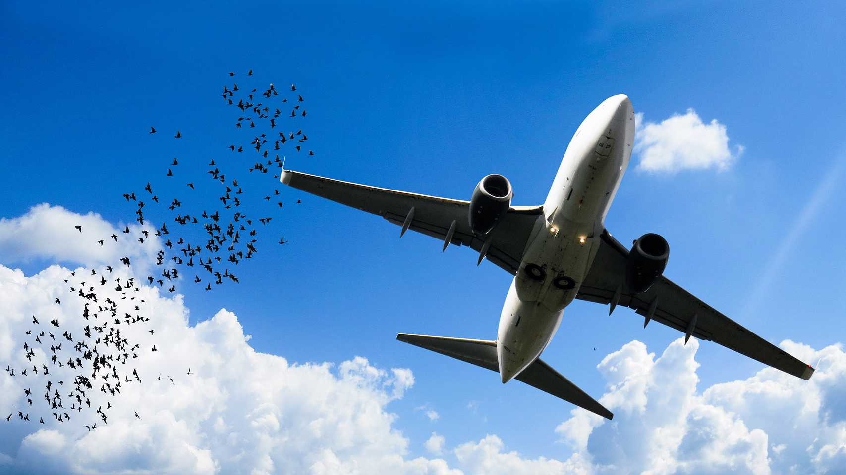 A Small Jet Engine Accident A Big Bill