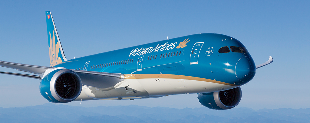 Vietnam Airlines Plane Lr