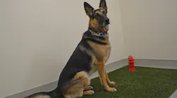 A service animal relief area (shown here) and lactation room are both required by the FAA for medium hub airports, which the Boise Airport will become later this year.