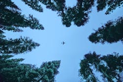 1 617ade140ccdf 1 617ade140ccdf