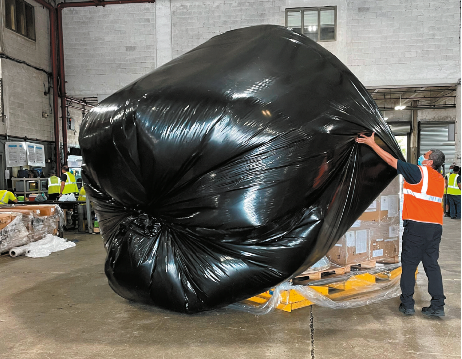 Bio Natur Post Image